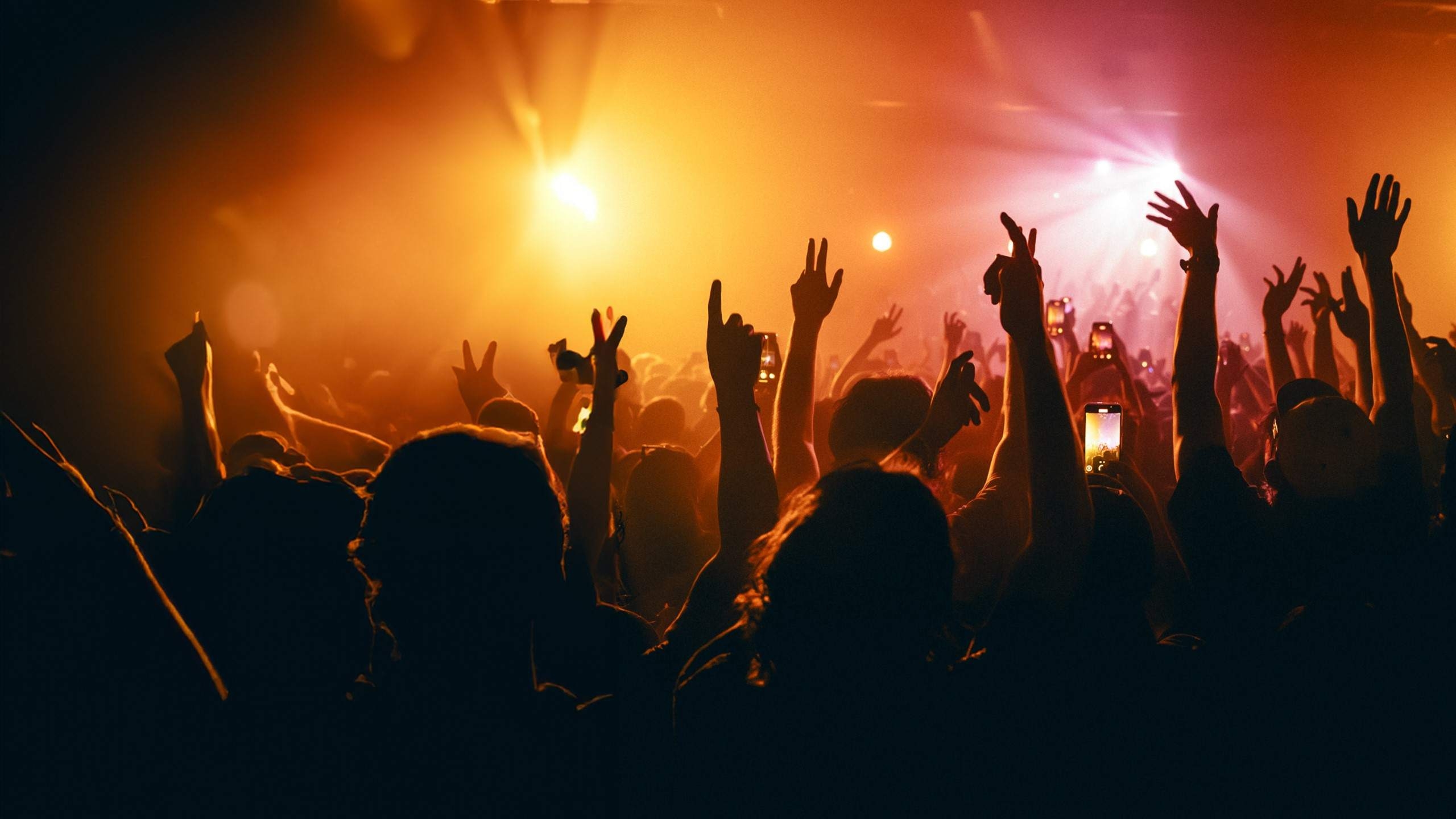 Crowd at concert