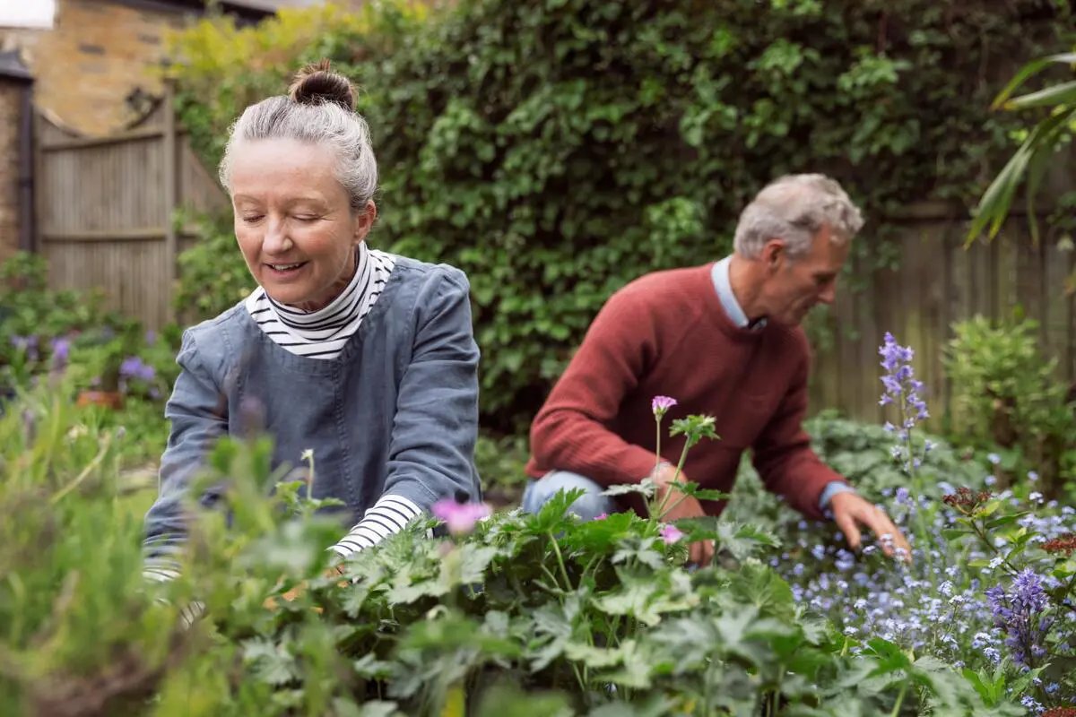 Older hands gardening