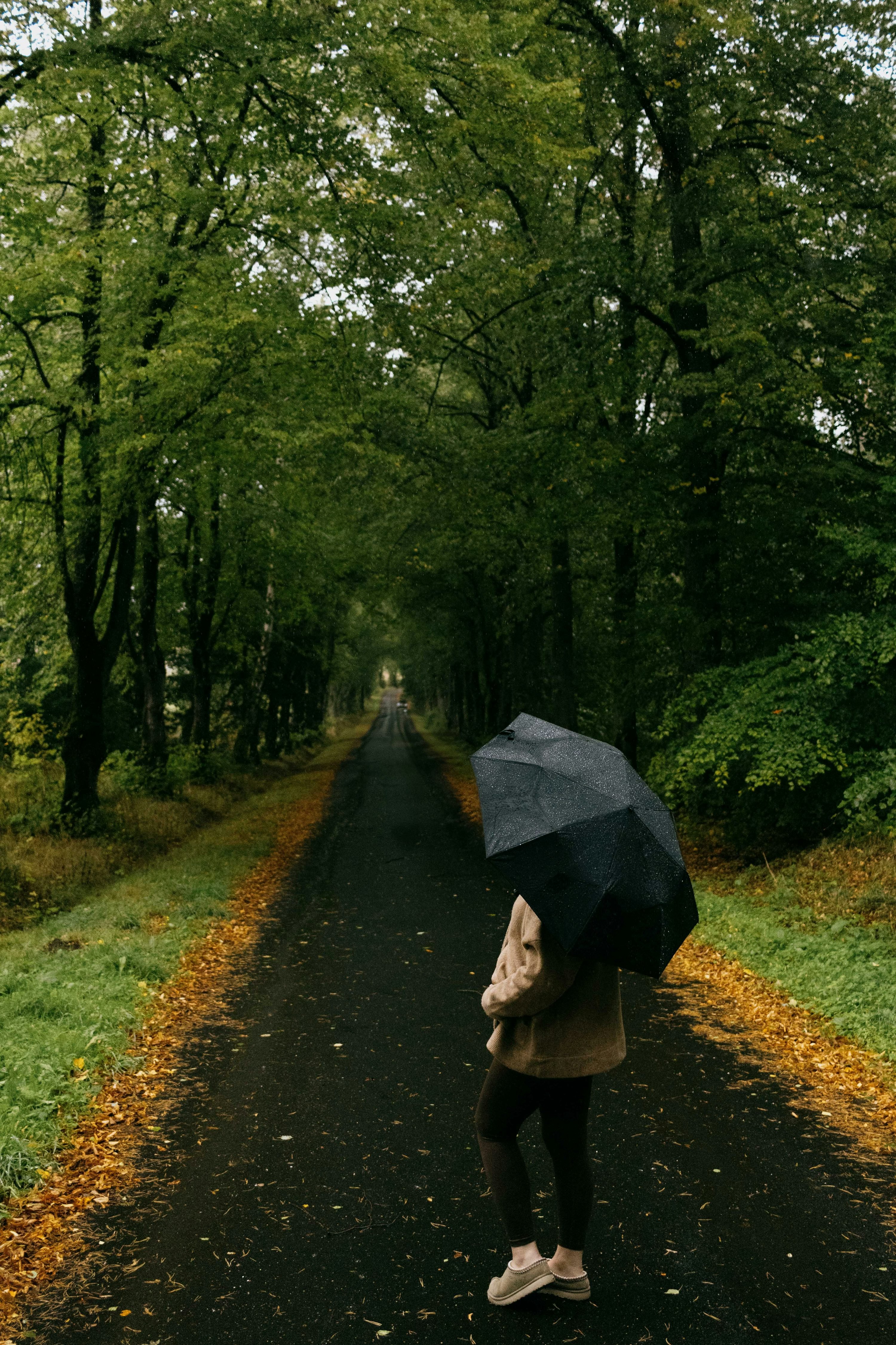 Peaceful walk in nature