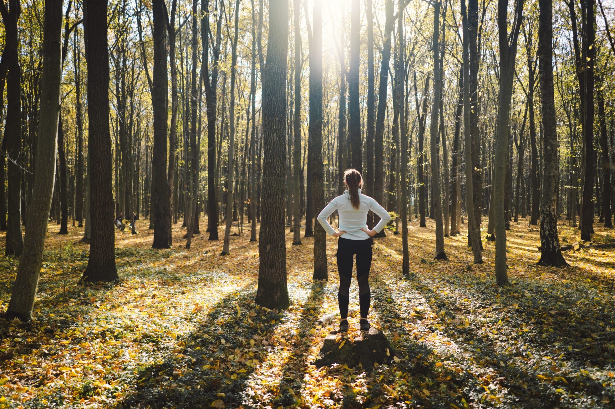 Person walking in forest