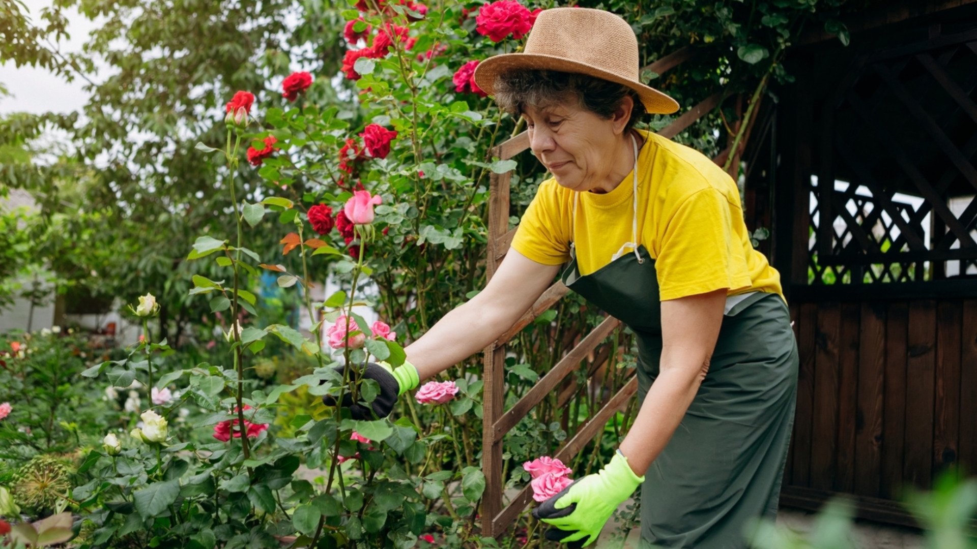 Old woman gardening